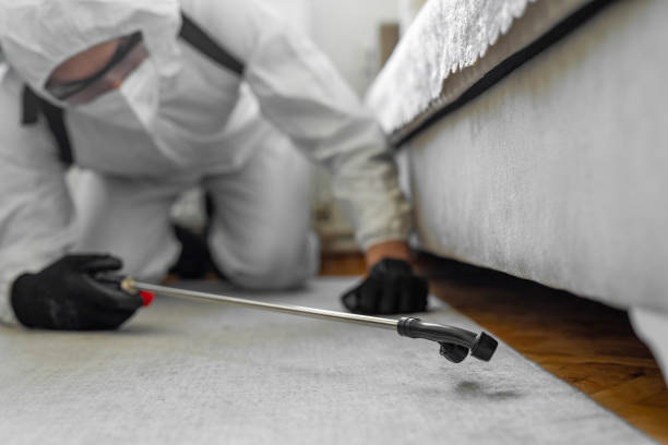 Professional Cockroach Control technician working in Ashe County County, NC